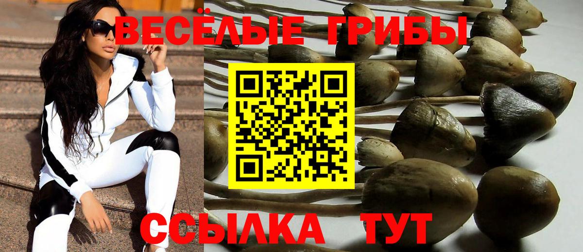Галлюциногенные грибы ЛСД Фрязино